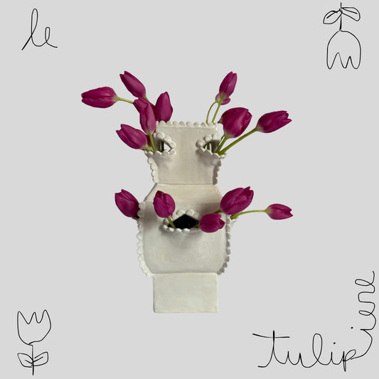 le tulipiere